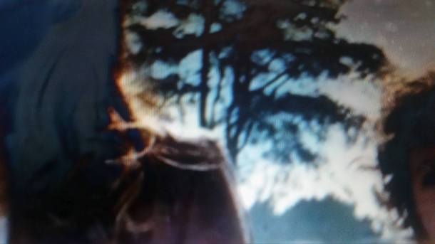 13383482_10154175607415320_1747092370_o